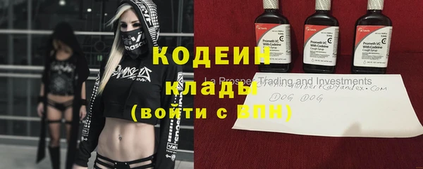 apvp Бородино