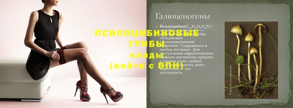 apvp Бородино