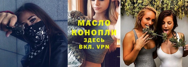apvp Бородино