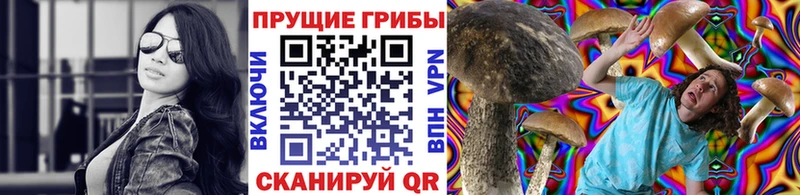 цена blacksprut онион Галлюциногенные грибы Cubensis Самара